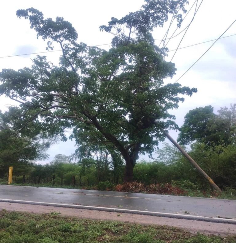 Vendaval Afecta Redes Eléctricas Y Deja Interrupciones Del Servicio En El Sur De La Guajira