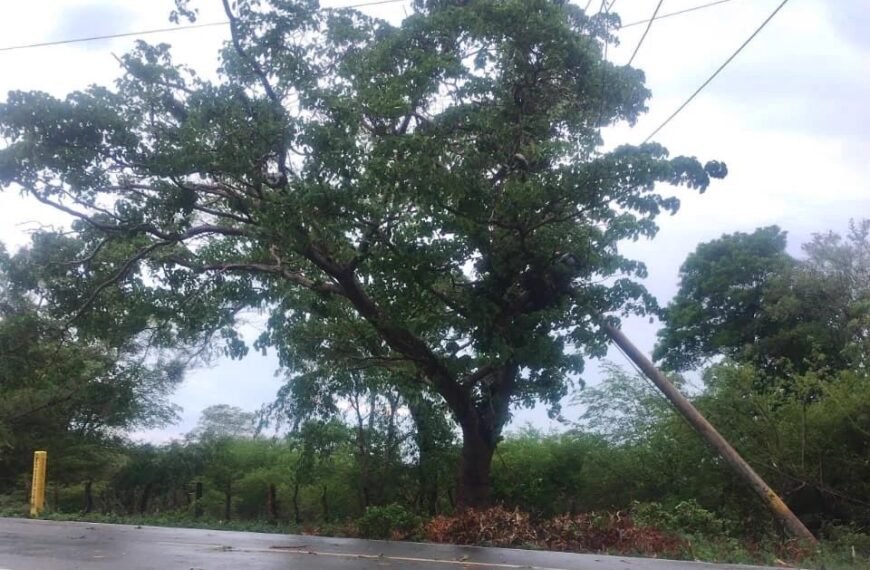 Vendaval Afecta Redes Eléctricas Y Deja Interrupciones Del Servicio En El Sur De La Guajira